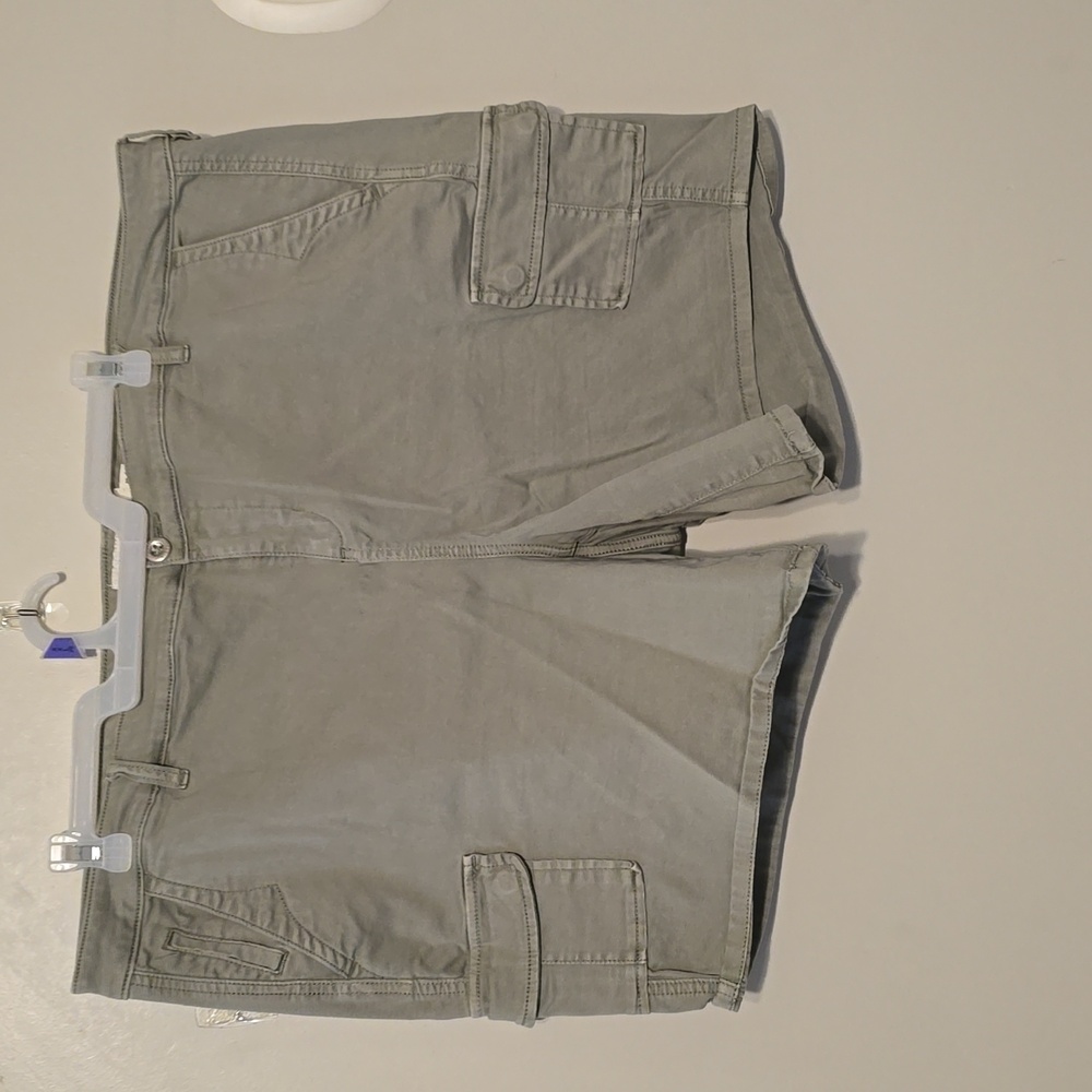 Torrid shorts